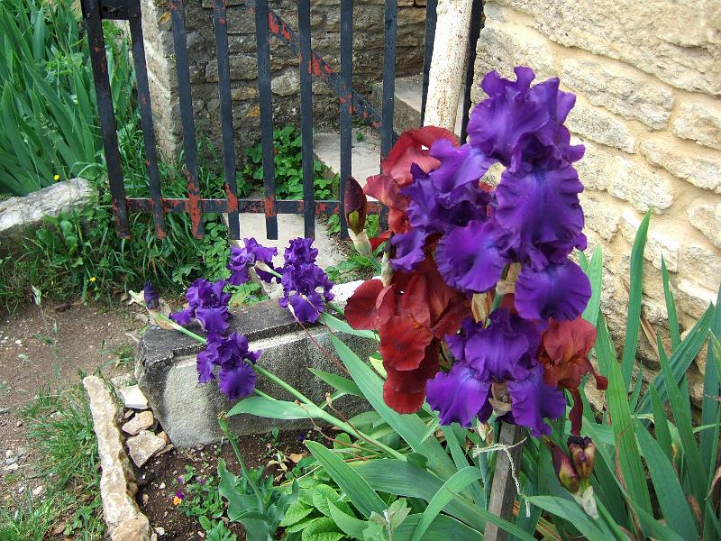 2010-05- (106).JPG